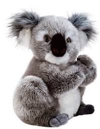 Nounours Koline: Koala de Peluche 22 cm