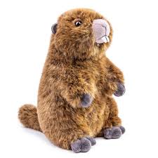 Peluche Marmota Lilizzhoumax 25cm - Muñeca Linda
