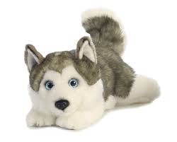 Miyoni Husky de Peluche Acostado - Aurora World