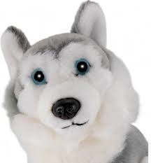 Peluche Husky Gris Sentado - Carl Dick 16cm