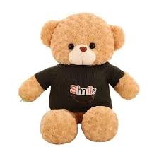 Pozo de Peluche: Cámara Espía HD 1080P WiFi