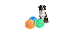 Pelotas Antiestrés para Perros KUENG