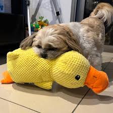 Peluche Antiestrés Pato para Perros
