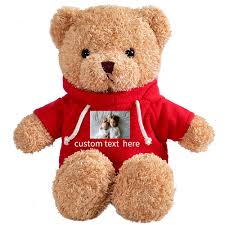 Oso de Peluche Personalizado Dayforsun