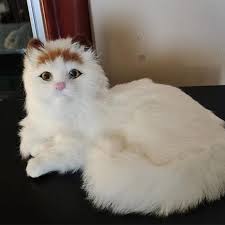 Adorable Gato de Peluche para Niñas