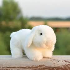 Peluche Conejo Blanco 19cm - Decoración y Juguete