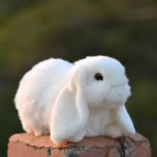 Peluche Conejo Blanco 27cm - Juguete Suave y Decorativo