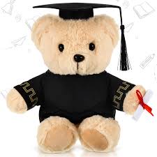 Oso de Graduación de Peluche con Diploma - 25 cm