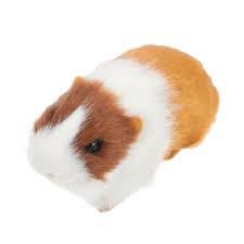 Adornos de Peluche para Cobayas