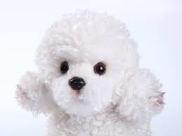 Peluche Realista de Caniche: Almohada Adorable para Niños