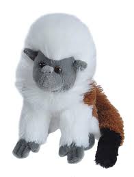 Mini Tití Cabeza Blanca de Peluche - 20 cm