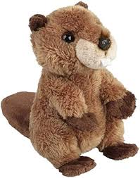 Castor de Peluche Ravensden 12cm