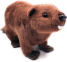Peluches Onwomania: Castor Marrón de 24 cm