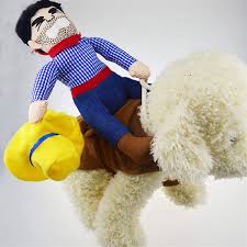 Disfraz de Halloween para Mascotas: Estilo Caballo