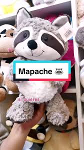 ¡Oferta Especial: Respuesta a @nieves.lidia.flor MAPACHE!