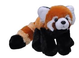 Panda Rojo Cuddlekins Mini de Wild Republic