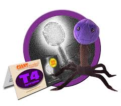 Peluche Microbio Gigante T4 - Llavero Divertido