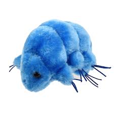 Peluches Gigantmicrobes: Oso de Agua Llaveros