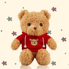 Osito de Peluche Pequeño de 30 cm