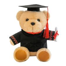 Oso de Peluche Graduación 2024