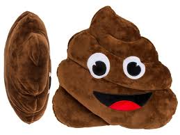 Cojín Peluche Caca Divertido