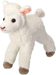 Cordero Mini Peluche 20 cm - Wild Republic