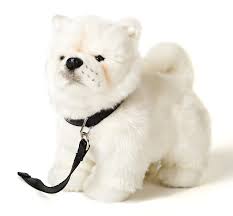 Uni-Toys - Chow Chow Blanco con Correa - 24 cm