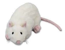 Rata de Peluche Flinx Wit - 22 cm