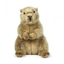 Peluche WWF Marmota para Bebé - ¡Compra Online!
