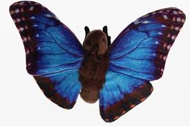 Mariposa Azul de Peluche 20 cm - Cornelissen