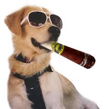 Juguete Chirriante Realista para Perros - OLACD