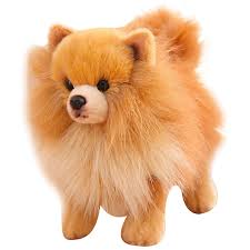 Peluche de Pomerania Lindo - 10x9 Pulgadas